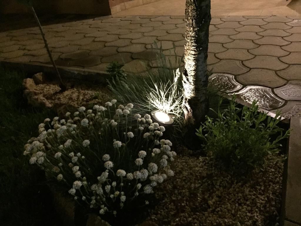 Villa I Spa Stevic Veliko Gradište Exteriör bild