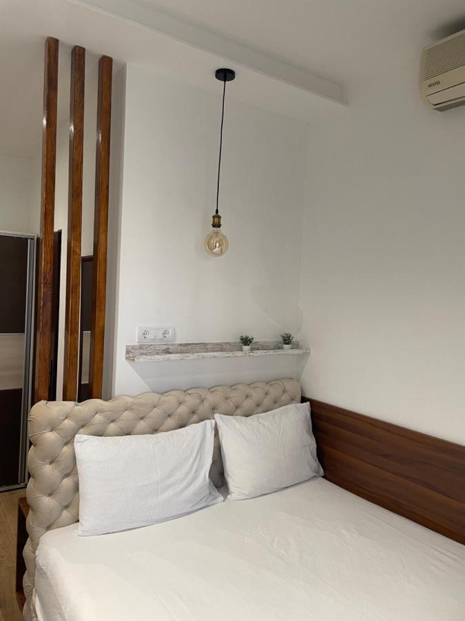 Villa I Spa Stevic Veliko Gradište Exteriör bild