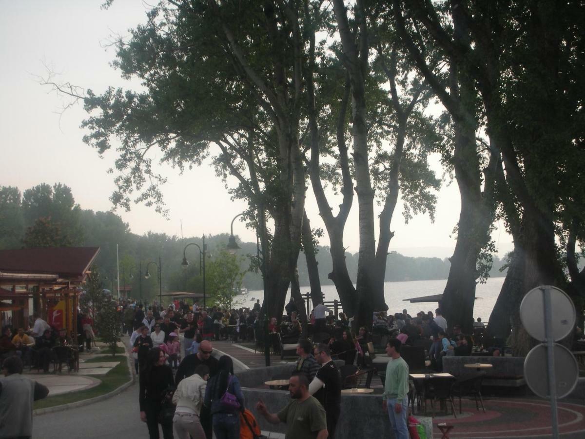 Villa I Spa Stevic Veliko Gradište Exteriör bild